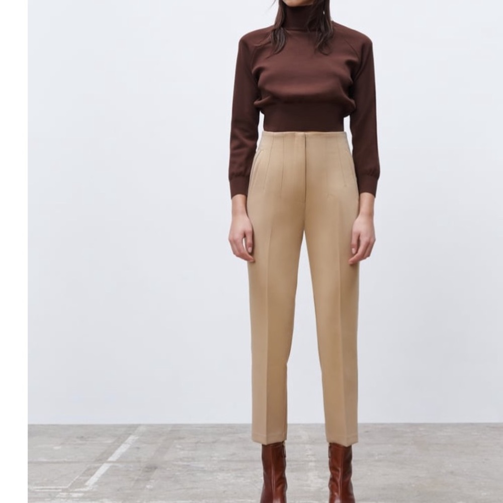Zara High Waisted Pants in Taupe Brown